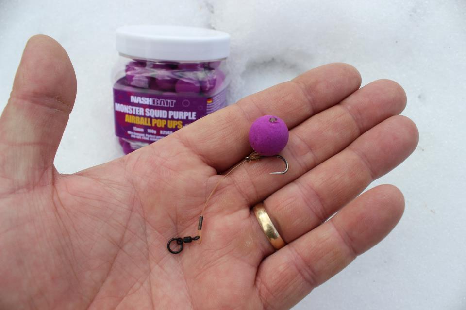 nash - 52652610200905787956014217718524n.jpg